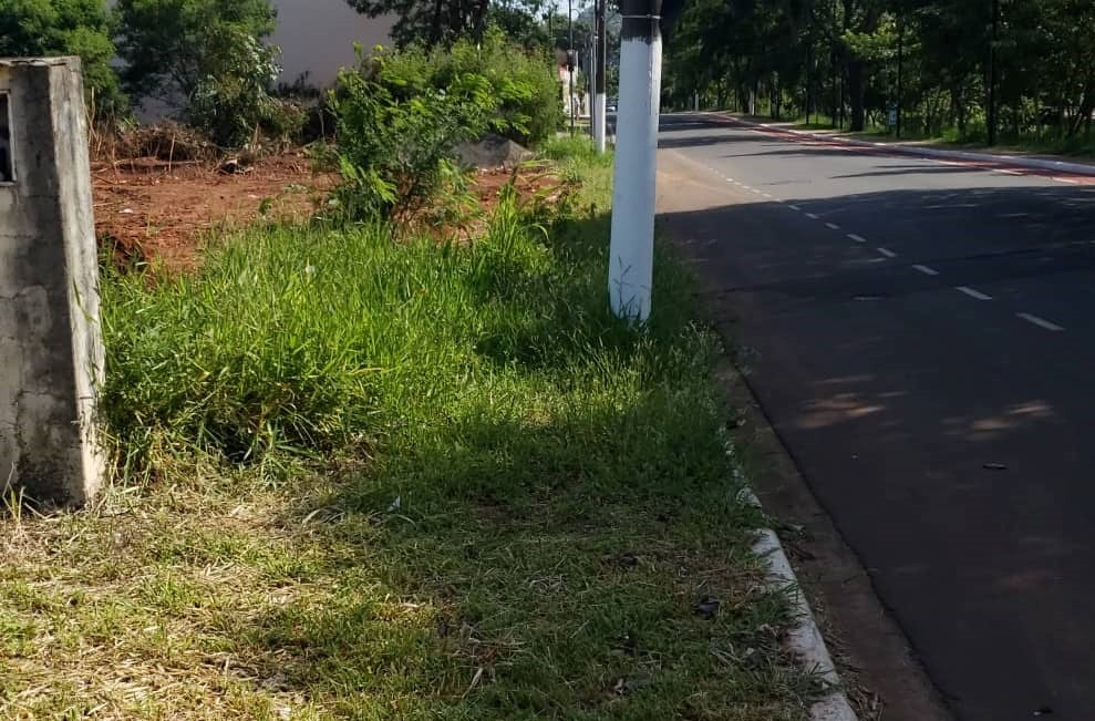 Local apresenta mato alto, sem calçamento, prejudicando a passagem de pedestres